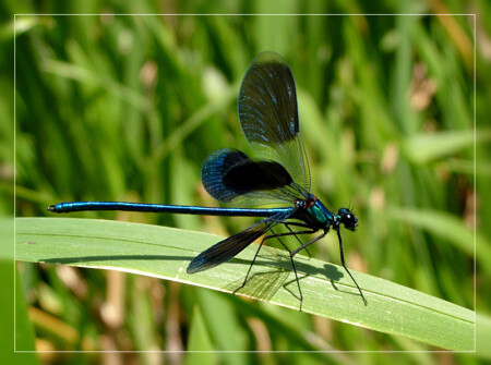 За миг до полета...