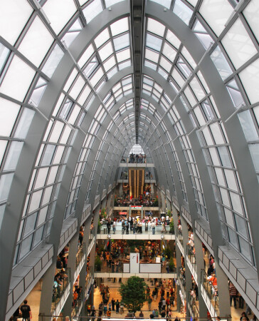 Попавшие в сети