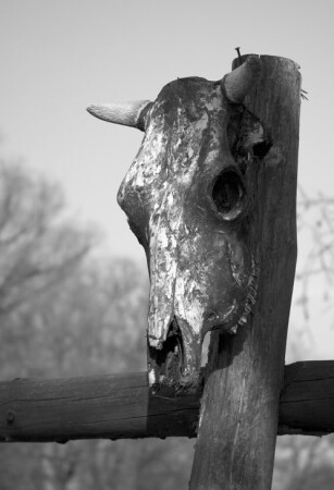 О Диком Западе