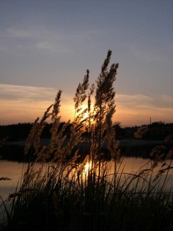 вечер на озере