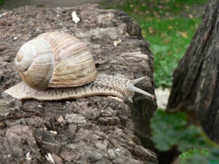 Над пропастью