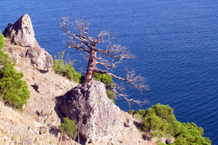 Новосветские красоты