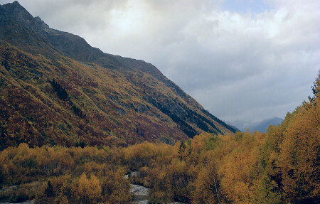 Дамбайский заповедник