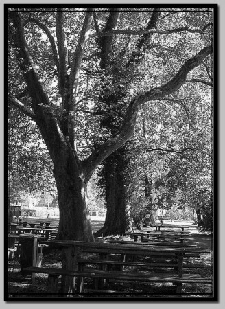 Умиротворение.....