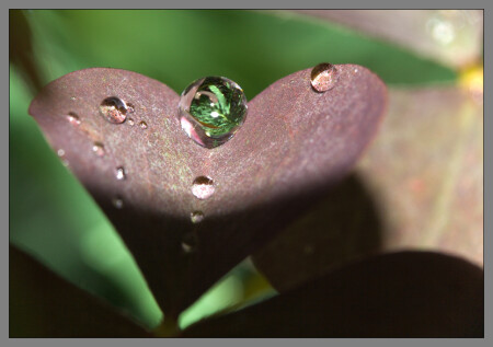 &amp;quot;Сердце, как хорошо, что ты такое...&amp;quot;