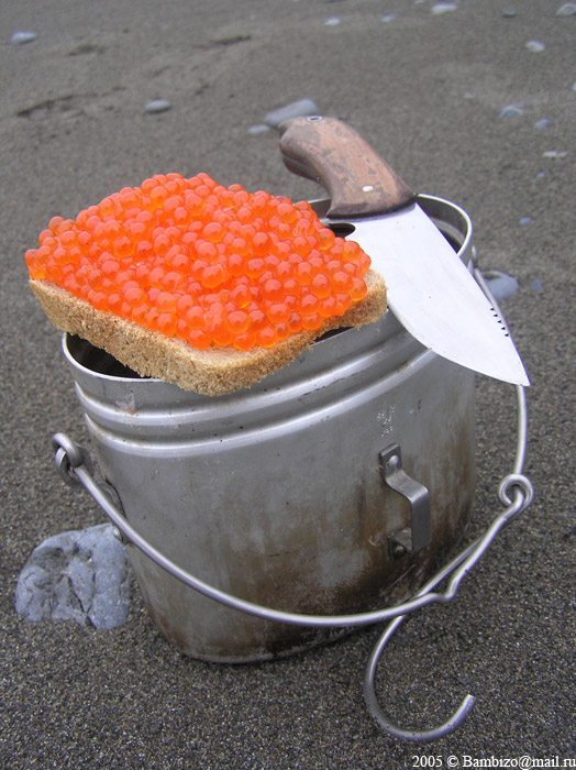 Икорка, Сэр!