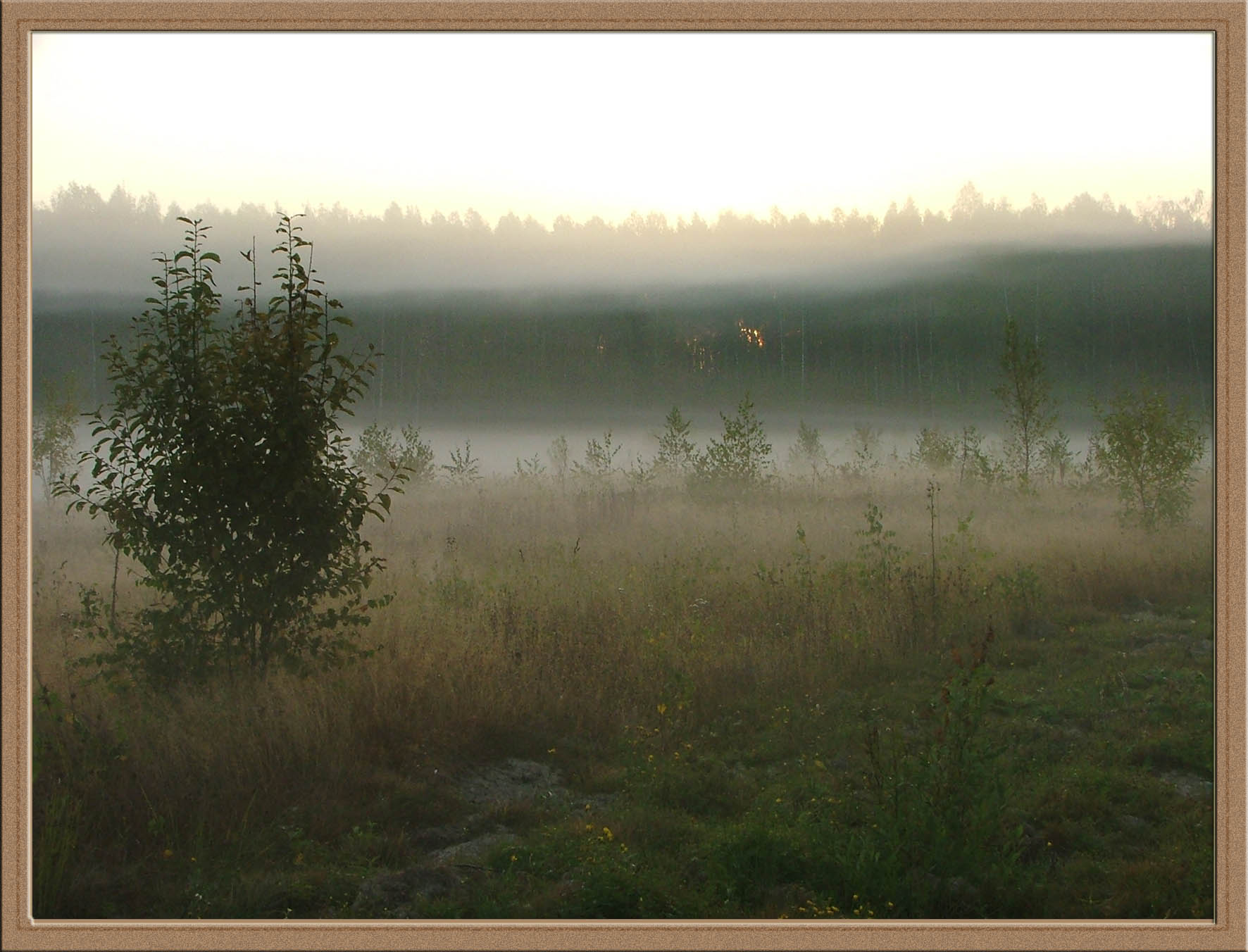 Утро туманное...2