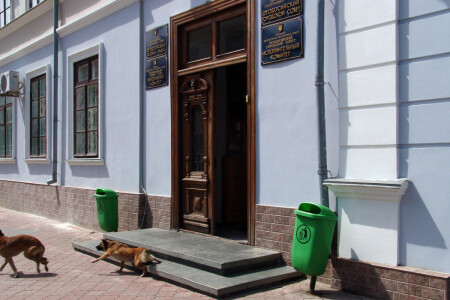 ВЛАСТЬ!
