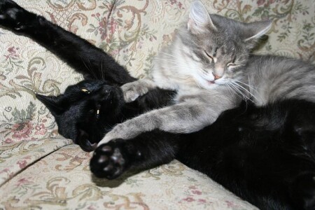 Больше не могу!!!