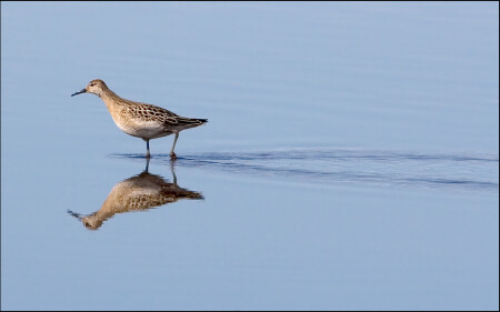 Прогулки по воде