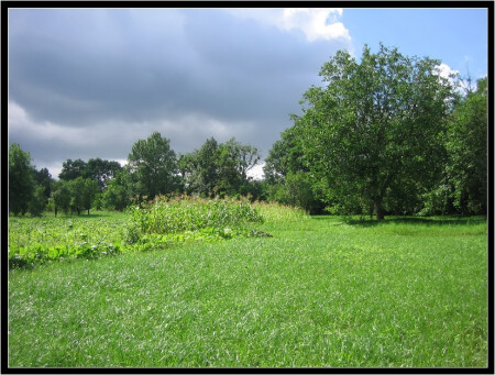 Опять гроза?!.. А может пронесет?..