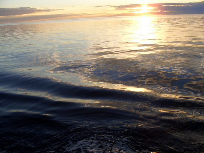 Муаровое море