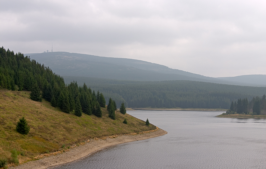 Берега