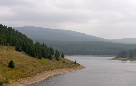 Берега