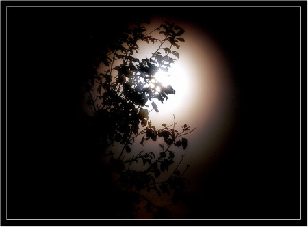 Ночь, улица, луна...