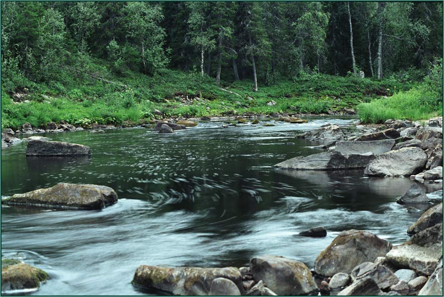 текущая вода