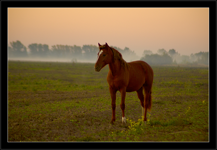In mist...