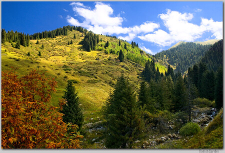 Первые признаки осени