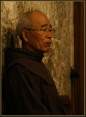 Южный шао-линь.