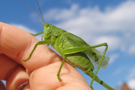 Не подскажите как добраться до дома?