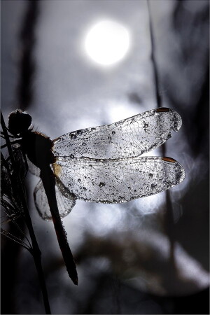 держи меня соломинка