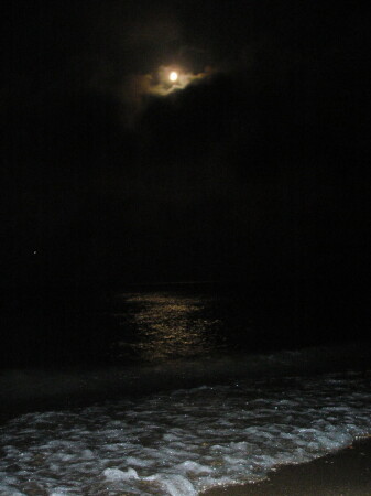 Лунное серебро