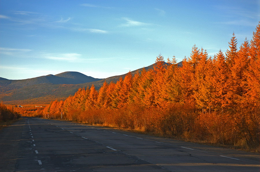 осень