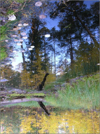 Зазеркалье