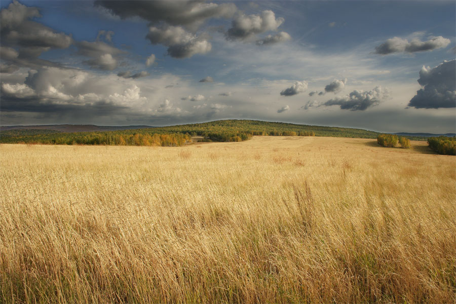 Хлеба