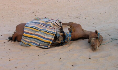 Без названия 001