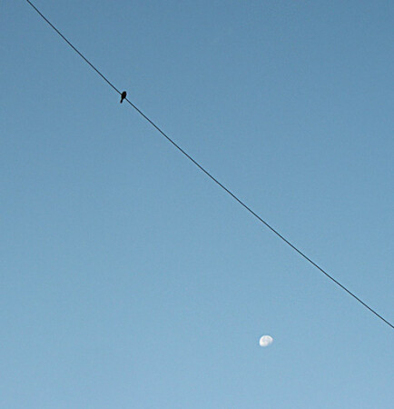 solitude