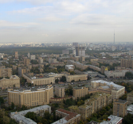 Птицы видят нас не так, как мы их...