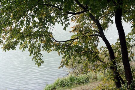 Осень.