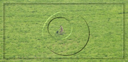 Перекати поле