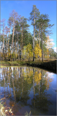 Пейзаж по вертикали