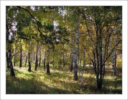 Краски осени