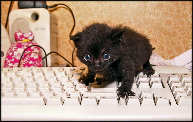 Это как же встать то чтоб CTRL+ALT+Del нажать?