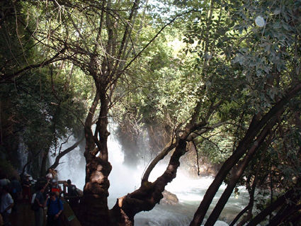 banias