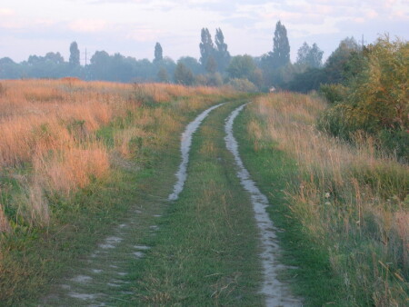дорога домой