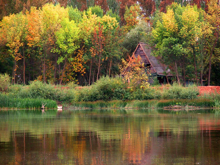 Осень