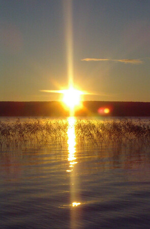 Утка, несущая солнце, начинает свой путь