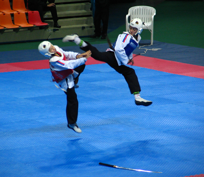 TAEKWONDO 2005