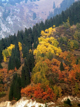 Предгорная осень