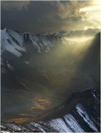 Light in the Dark