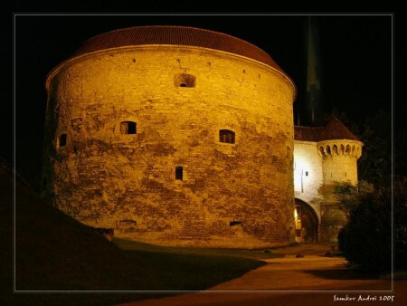 Толстая Маргарита