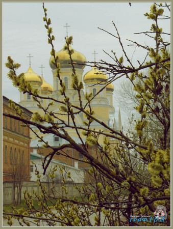 дыхание весны