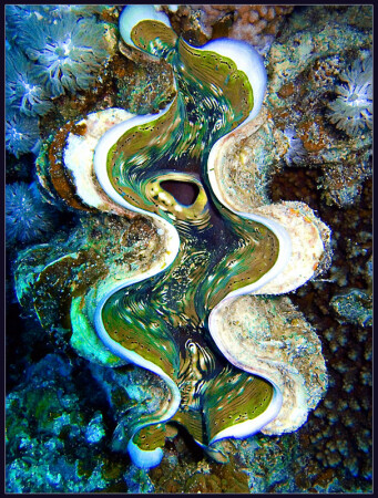 Эротика моря
