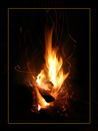 Красный цветок