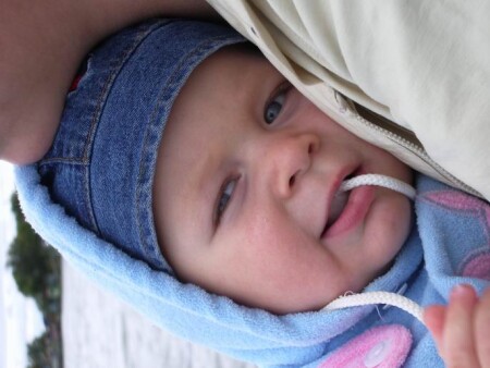 Когда ничем некормят