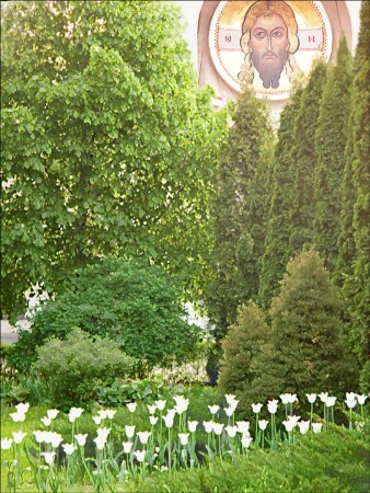 &amp;quot;Чего им не хватает?&amp;quot;